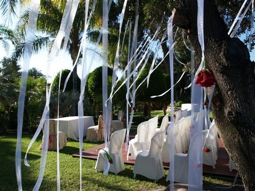 Necesito imagenes para decorar una boda civil - Antes de la boda - Foro